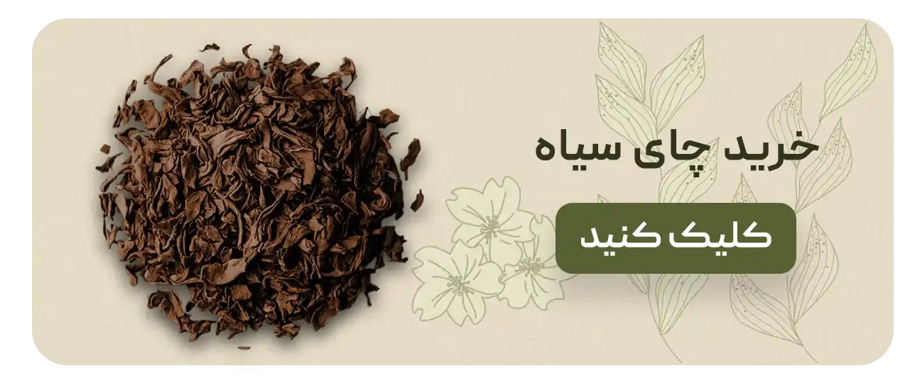 black-tea-banner